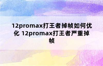 12promax打王者掉帧如何优化 12promax打王者严重掉帧